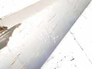 Verkleidung Schweller - Linke Nissan Primera, P12 2002.01 - 2008.12 Gebraucht,