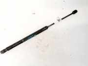 Gasdruckfeder Kofferraum Citroen C3, I 2002.02 - 2005.06 9639853880,