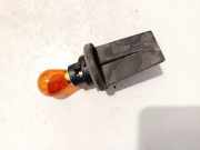 Glühbirnenfassung Blinker Renault Scenic, II 2003.06 - 2006.06 py21w,