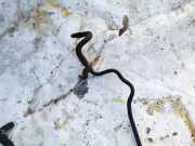 Servoleitung Leitung Servo Servoschlauch Schlauch Mitsubishi Outlander, II 2006.01 - 2013.01 Gebraucht,