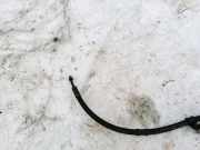 Servoleitung Leitung Servo Servoschlauch Schlauch Mercedes-Benz Sprinter, I 1995.02 - 2006.05 Gebraucht,