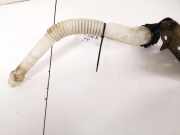 Verschluss Waschwasserbehälter Citroen C5, I 2004.08 - 2008.02 facelift 78662b0209,