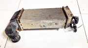 Ladeluftkühler Peugeot 406, 1999.03 - 2004.05 facelift 9637809480, 864223ef