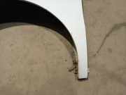 Kotflügel - Vorne Linke Fiat Doblo, 2009.08 --> Gebraucht ,