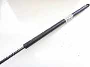 Gasfeder für Motorhaube Peugeot 406, 1999.03 - 2004.05 facelift 9630662480,