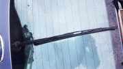 Wischerarm hinten Ford S-Max, 2006.05 - 2014 Gebraucht ,