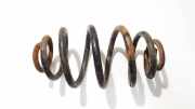 Fahrwerksfeder Hinterachse Audi A6, C5 1997.01 - 2001.08 Gebraucht,