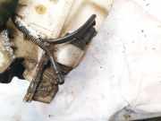 Waschwasserpumpe Scheibenreinigung Audi A6, C6 2005.01 - 2008.10 Gebraucht,