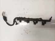 Kraftstoffverteiler Renault Scenic, II 2003.06 - 2006.06 8200135504,