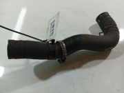 Kühlerschlauch Mazda Premacy, 1999.01 - 2005.03 Gebraucht,Used