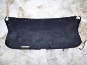 Zierleiste Lexus IS, II 2005.10 - 2013.03 Gebraucht,