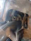 Einspritzdüse Subaru Forester, II 2002.06 - 2007.12 Gebraucht,