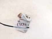 T?rscharnier Vorne Seat Toledo, 1999.04 - 2006.05 Gebraucht,