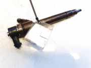 Einspritzdüse Volvo S80, 2006.03 - 2010.01 0445110298, 30777526