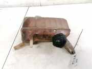 Ausgleichsbehälter Renault Megane, II 2002.11 - 2006.06 Gebraucht,