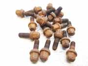 Radbolzen- Radmutter Mercedes-Benz Sprinter, I 1995.02 - 2006.05 Gebraucht,