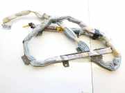 Kopfairbag - Vorne Linke Lexus IS, II 2005.10 - 2013.03 gk618001,402649206q75