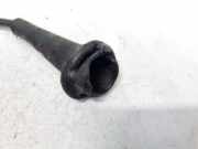 Zündkabel Renault Laguna, I 1994.01 - 2001.03 Gebraucht,