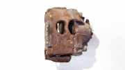 Bremssattel - Vorne Rechts Opel Signum, 2003.05 - 2008.06 Gebraucht,