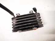 Kraftstoffkühler Kraftstoff Kühler BMW 3-Series, E46 1998.02 - 2002.06 kh129623000,13322247411