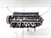 Zylinderkopf Renault Megane, III 2008.11 - 2012.06 110421067R,