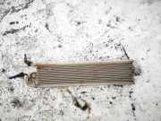 Kraftstoffkühler Kraftstoff Kühler Volkswagen Passat, B6 2005.08 - 2010.11 Gebraucht, BKC