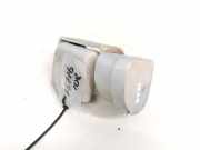 Türscharnier Hinten Renault Megane, II 2002.11 - 2006.06 Gebraucht ,