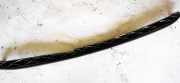 Windlauf Wischerabdeckung Peugeot 307, 2000.08 - 2005.06 9638958780,