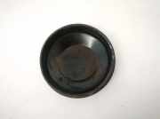 Blende Scheinwerfer - Vorne Renault Grand Scenic, I 2003.01 - 2009.12 153874,