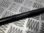 Gasfeder für Motorhaube Fiat 500, 2007.10 --> 00517854120, 0230330350n