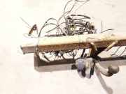 Anhängerkupplung Toyota Avensis, II 2006.03 - 2008.12 facelift Gebraucht,