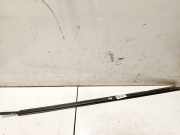 Zierleiste Leiste - Vorne Rechts Peugeot 406, 1999.03 - 2004.05 facelift Gebraucht,