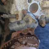 Thermostat Renault Kangoo, 1997.09 - 2003.04 Gebraucht,