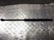 Gasdruckfeder Kofferraum Ford Focus, 2004.11 - 2008.06 4m51a406a10ab,na