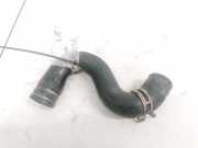 K?hlerschlauch Peugeot 307, 2000.08 - 2005.06 Gebraucht,