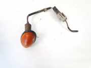 Blinkleuchte Kotflügel - Vorne Rechts Chrysler Voyager, IV 2000.02 - 2008.12 9879,