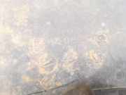 Unterfahrschutz Skoda Octavia, I 2000.11 - 2004.02 facelift 1u0805825a,