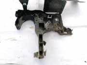 Stoßstangenhalter - Vorne Renault Megane, II 2002.11 - 2006.06 8200137496, 43195