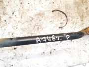 Stabilisator Vorne Fiat Panda 2003 - 2012 Gebraucht,