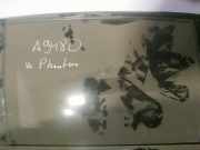 Seitenscheibe - Hinten Linke Volkswagen Phaeton, 2007 - 2011 facelift Gebraucht, CEXA