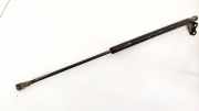 Gasdruckfeder Kofferraum Toyota Yaris, I (XP10) 1999.04 - 2003.03 M02922039,041398500N