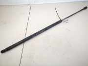 Gasdruckfeder Kofferraum Ford Transit, III 2000.01 - 2006.04 1c15v406a10ea,1c15-v406a10-ea