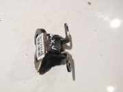Türscharnier Vorne Toyota RAV-4, III 2005.11 - 2012.12 Gebraucht,