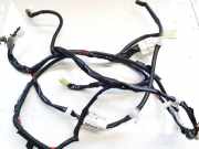 Kabelbaum Nissan Leaf, I 2010 - 2017.12 240523nl1c,