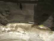 Motorraumdämmung Motorhaube Volvo S60, 2000.01 - 2005.01 Gebraucht,
