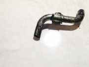 ?lr?cklaufrohr Renault Laguna, I 1994.01 - 2001.03 Gebraucht,