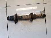 Stoßdämpfer - Hinten Rechts Toyota Corolla Verso, II 2001.09 - 2004.05 Gebraucht,