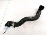 Kühlerschlauch Fiat Stilo, 2001.10 - 2007.01 Gebraucht,