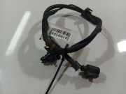 Kabelbaum Volkswagen Golf, V 2003.10 - 2008.10 Gebraucht , BKD