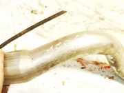 Tankeinfüllstutzen Tankrohr Kraftstoffrohr Audi 100, C4 1991.01 - 1994.06 443201523,